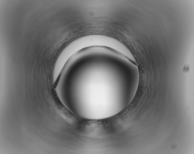 X0000091490750200709061900