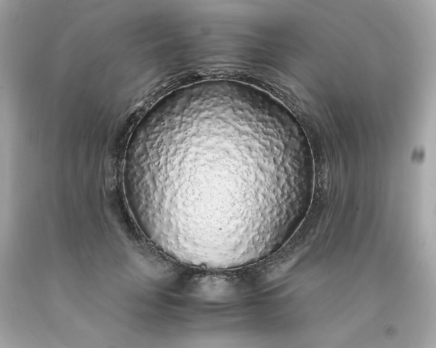 X0000091490751200709061900