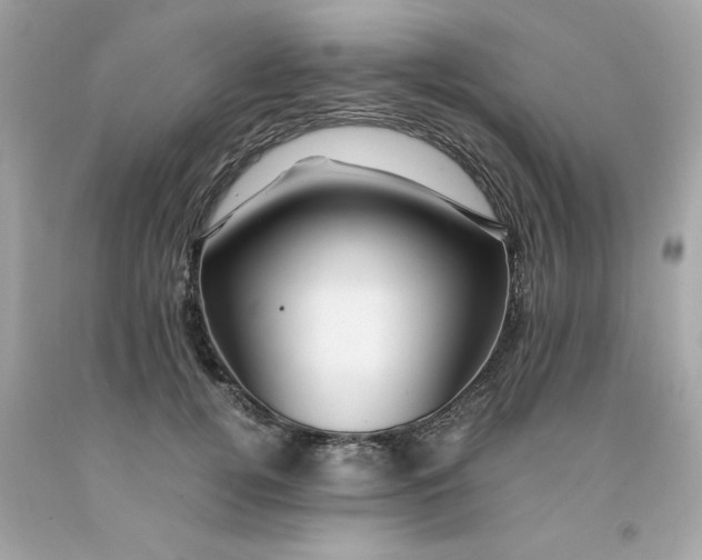 X0000091490752200709061900