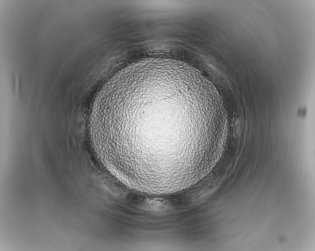 X0000091490753200709061900