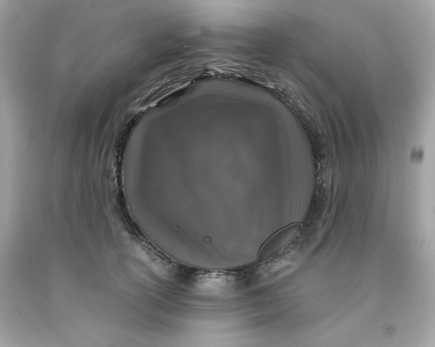 X0000091490754200709061900