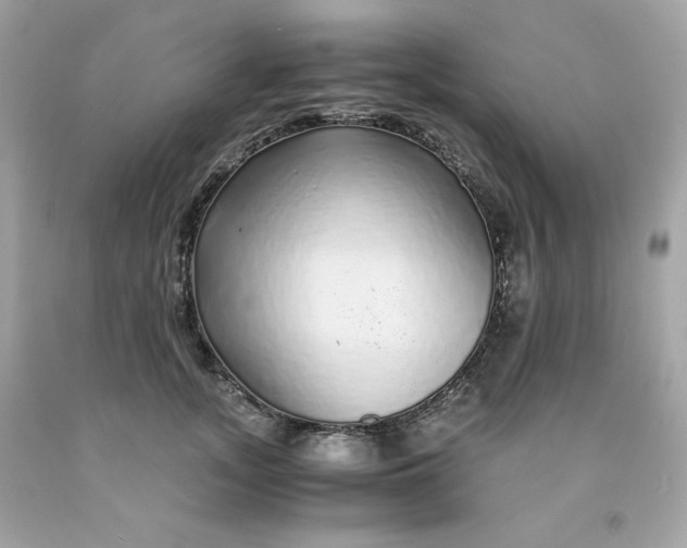 X0000091490755200709061900