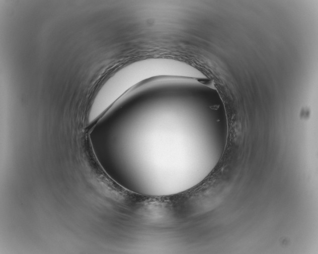 X0000091490756200709061900