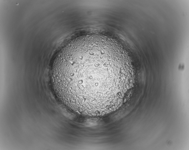 X0000091490757200709061900