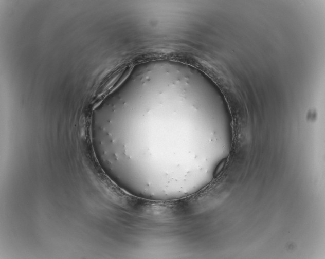 X0000091490758200709061900