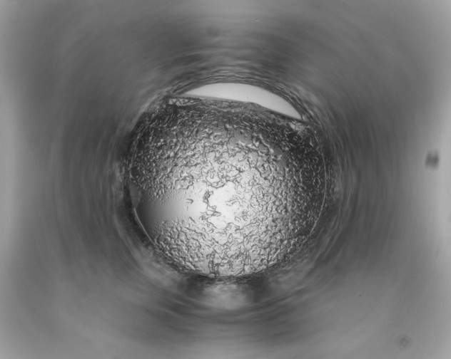 X0000091490759200709061900