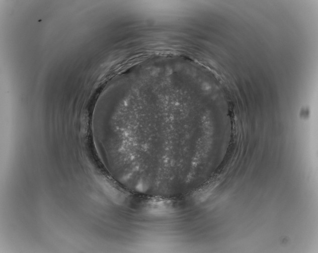 X0000091490760200709061900