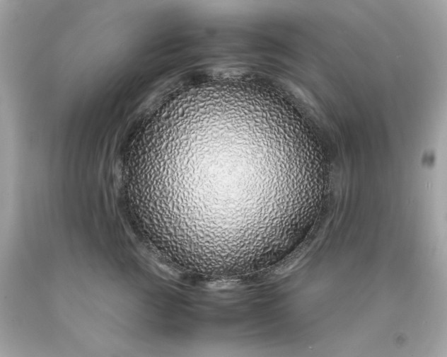 X0000091490761200709061900