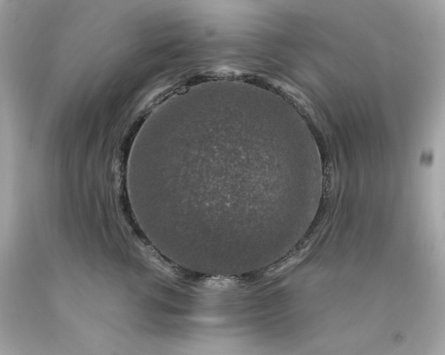 X0000091490762200709061900