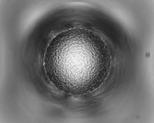 X0000091490763200709061900