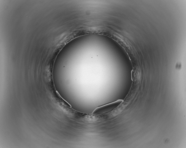 X0000091490764200709061900