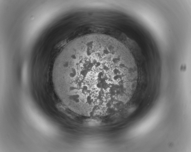 X0000091490765200709061900