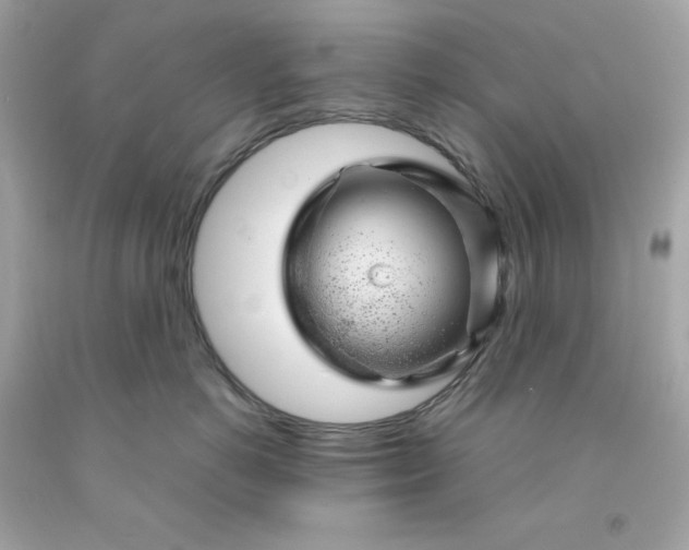 X0000091490766200709061900