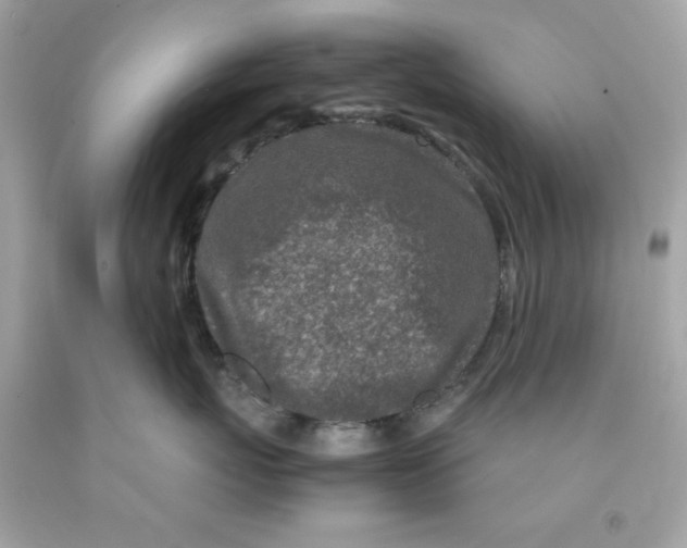 X0000091490767200709061900