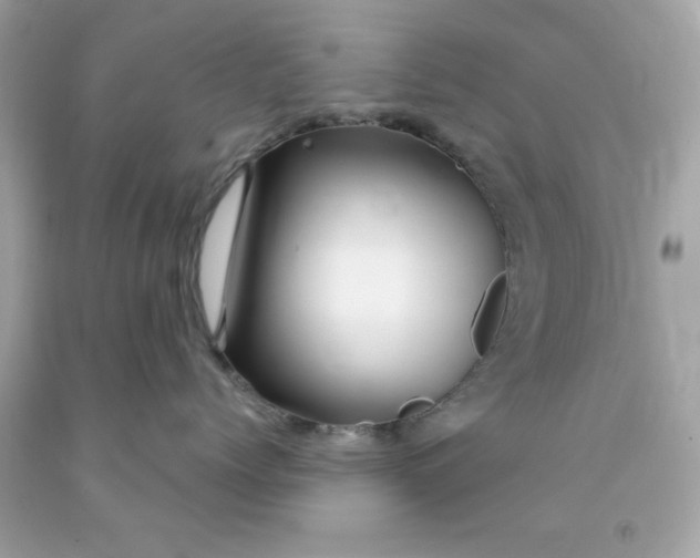 X0000091490768200709061900