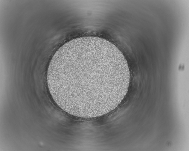 X0000091490769200709061900