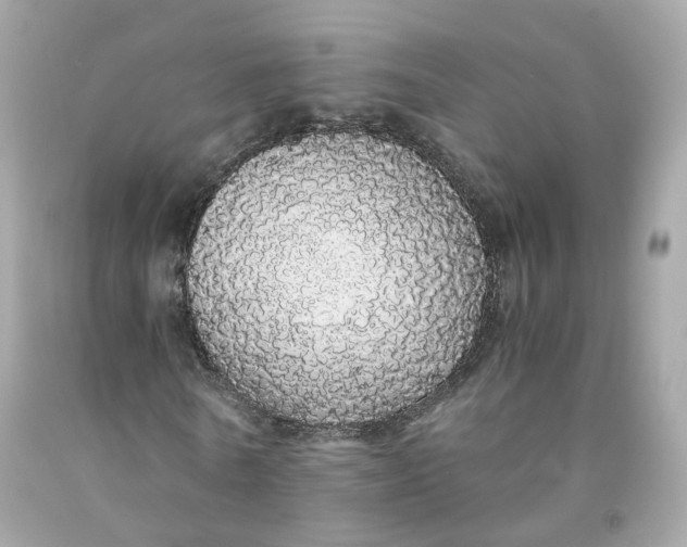 X0000091490770200709061900