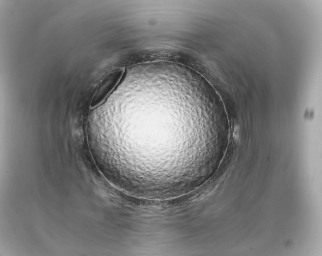 X0000091490771200709061900