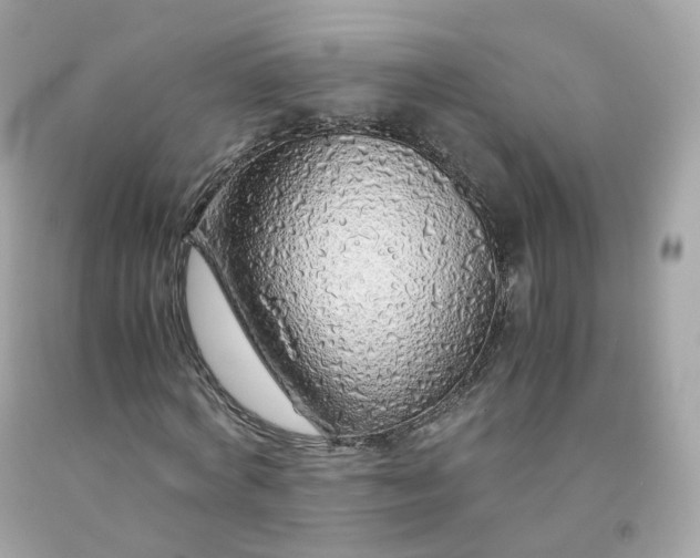 X0000091490772200709061900