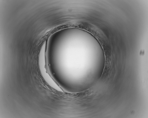 X0000091490773200709061900