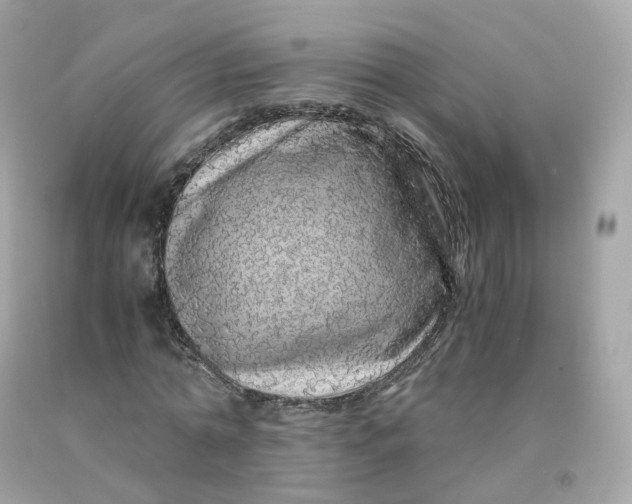 X0000091490774200709061900