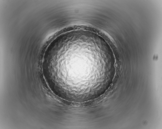 X0000091490775200709061900