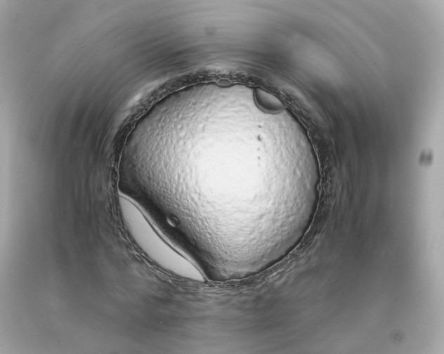 X0000091490776200709061900