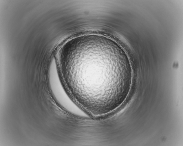 X0000091490777200709061900