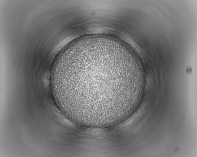 X0000091490778200709061900