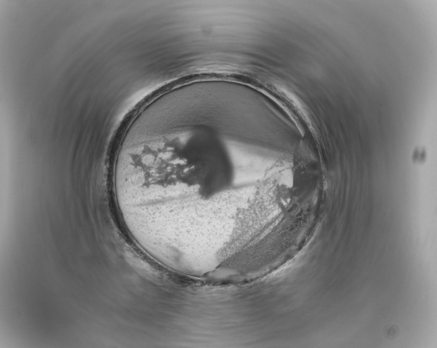 X0000091490779200709061900