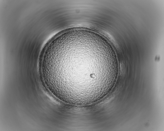 X0000091490780200709061900