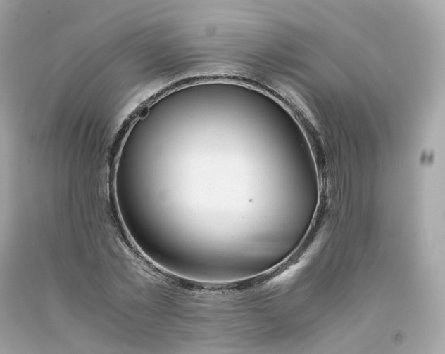 X0000091490781200709061900