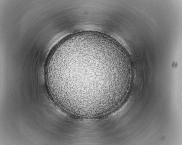 X0000091490782200709061900