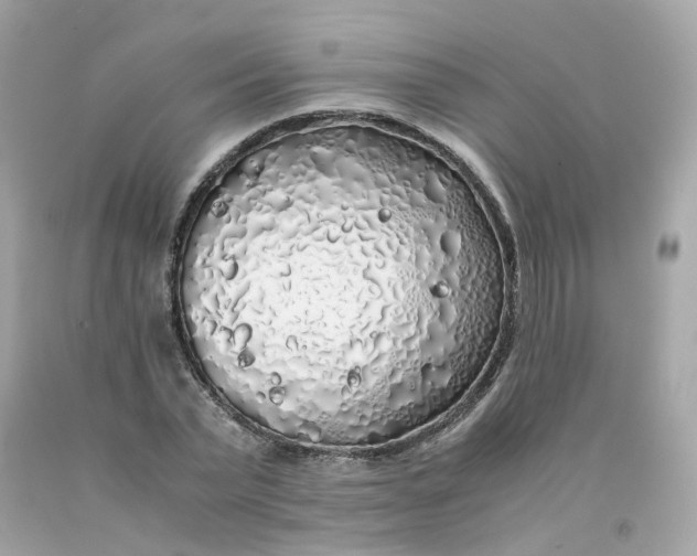 X0000091490783200709061900