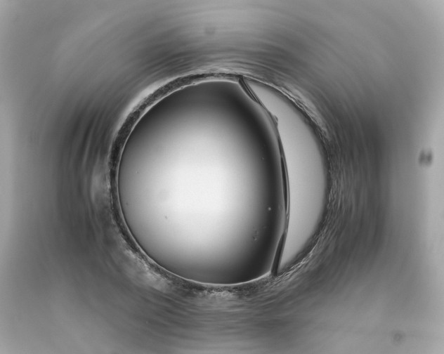 X0000091490784200709061900