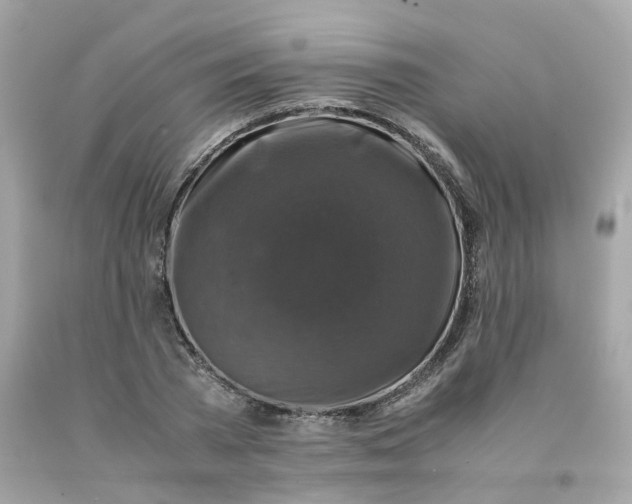 X0000091490785200709061900