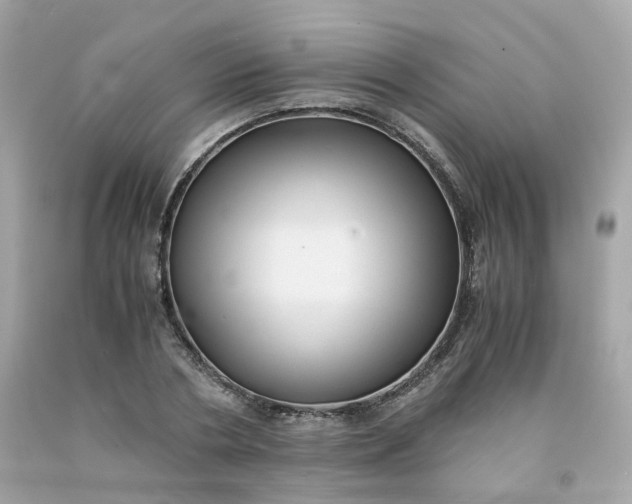 X0000091490786200709061900