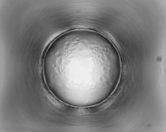 X0000091490787200709061900