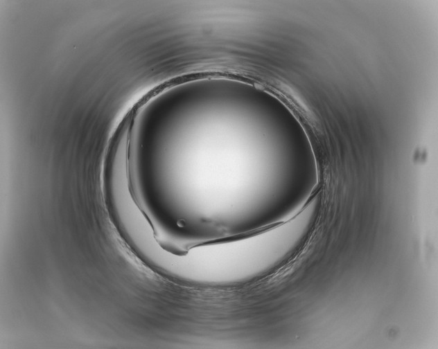 X0000091490788200709061900