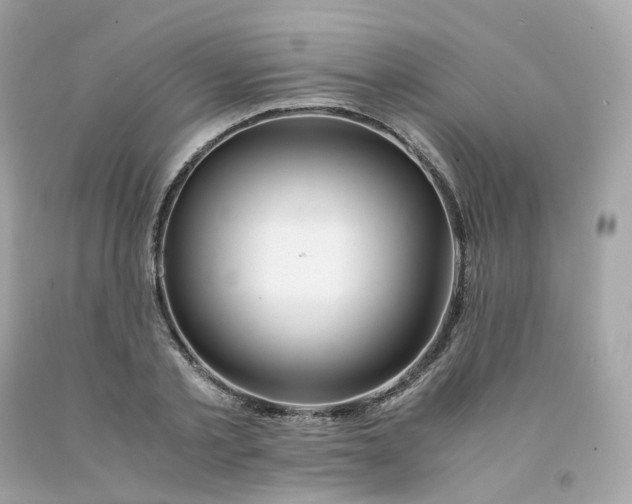 X0000091490789200709061900