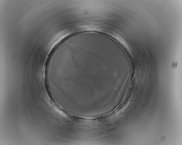 X0000091490790200709061900