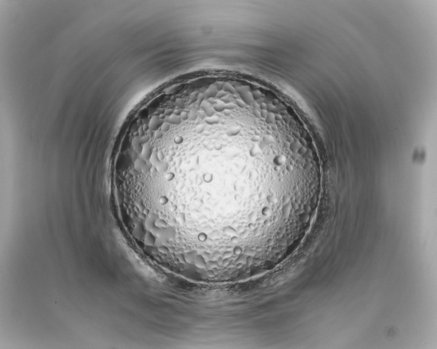 X0000091490791200709061900