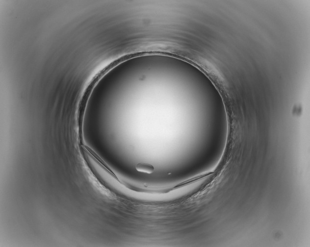 X0000091490792200709061900