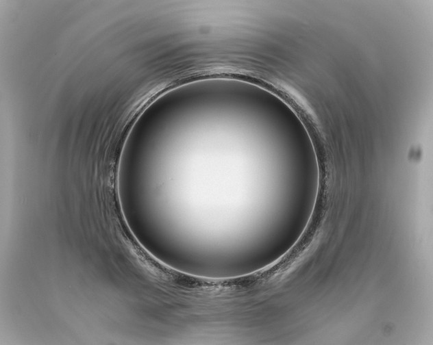 X0000091490793200709061900