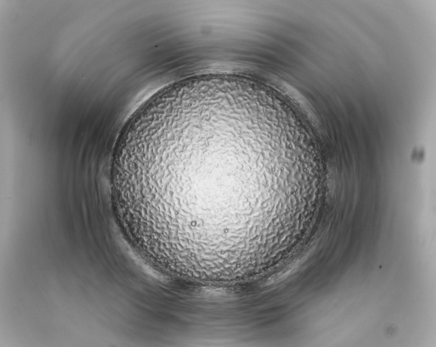 X0000091490794200709061900