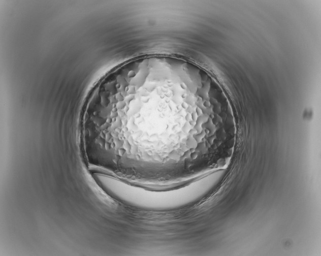 X0000091490795200709061900