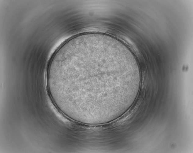 X0000091490796200709061900