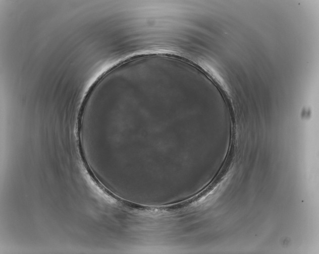 X0000091490797200709061859