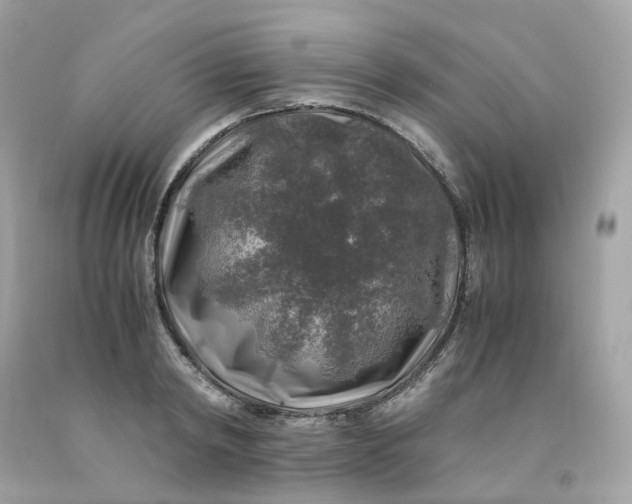 X0000091490798200709061859