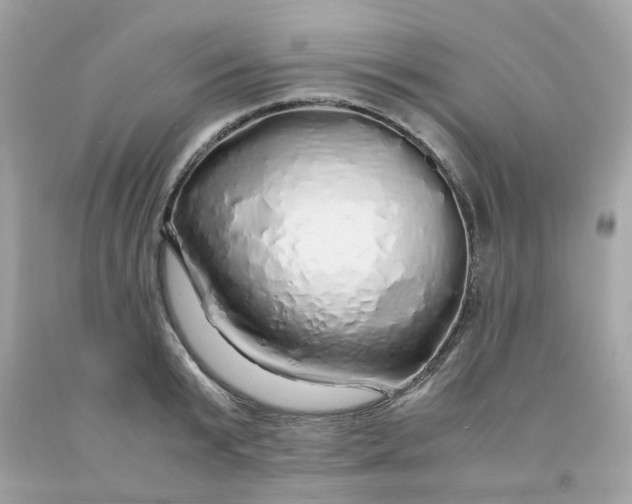 X0000091490799200709061859